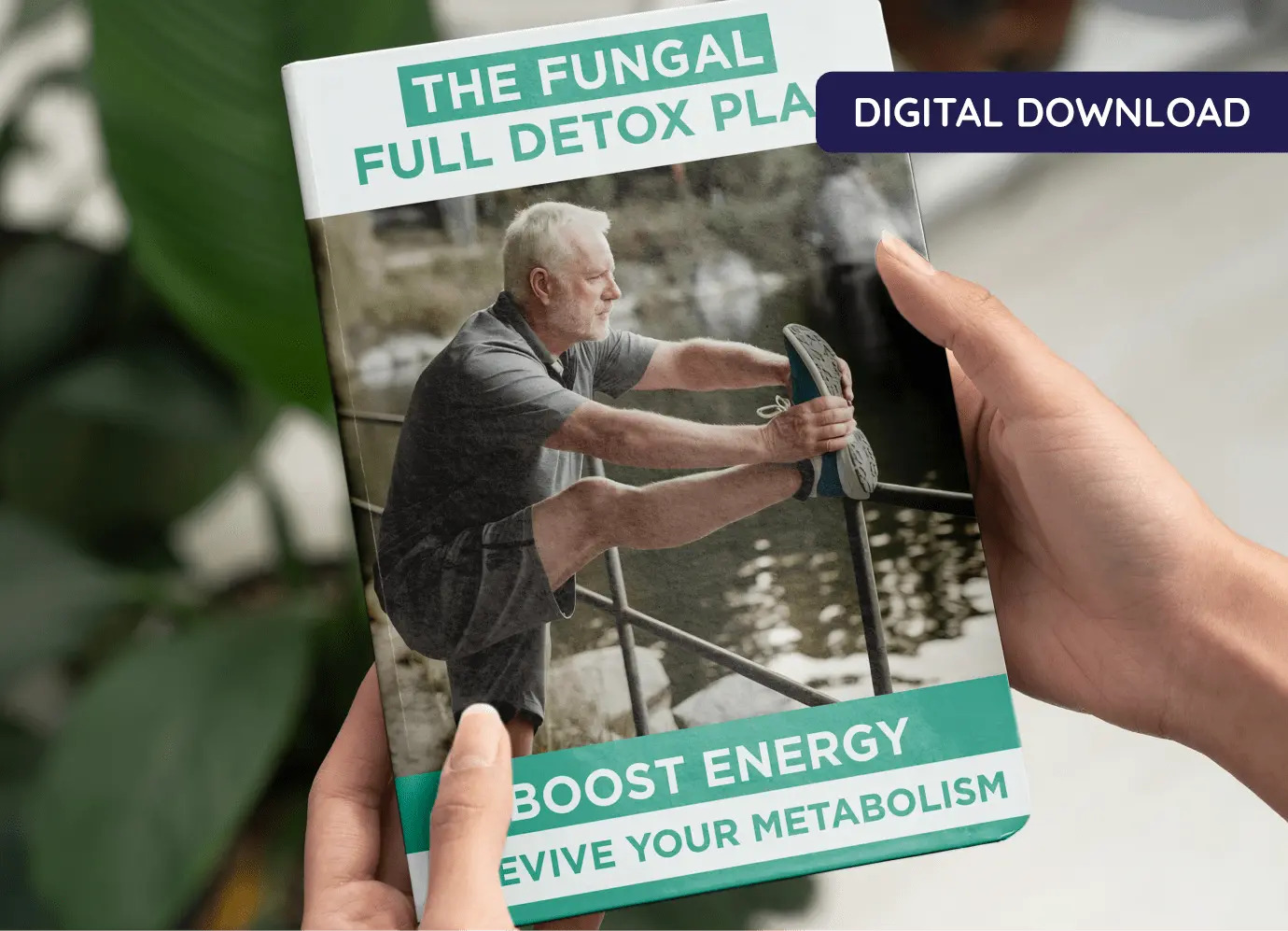 Fungal Full Detox Plan metabolic support recipes